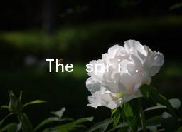 The spring FestivalӢZ20ƪ
