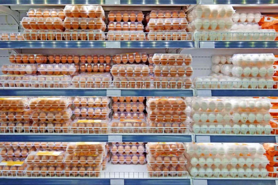 市場行情 | 全球多地蛋價再次飆升，原因不止是禽流感！